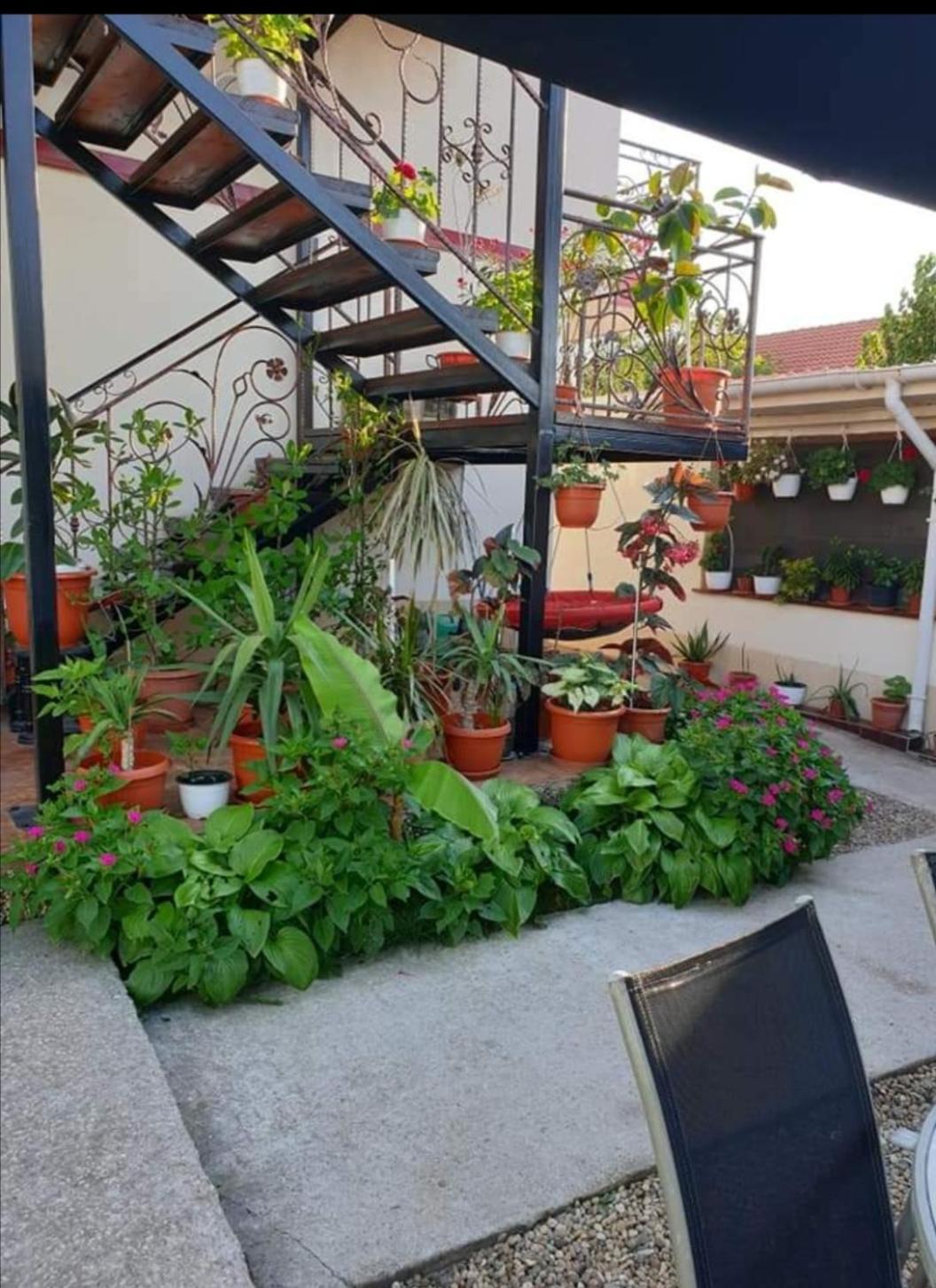 Vila Robert Hotel Schitul Exterior foto